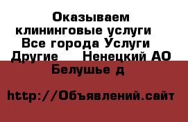 Оказываем клининговые услуги! - Все города Услуги » Другие   . Ненецкий АО,Белушье д.